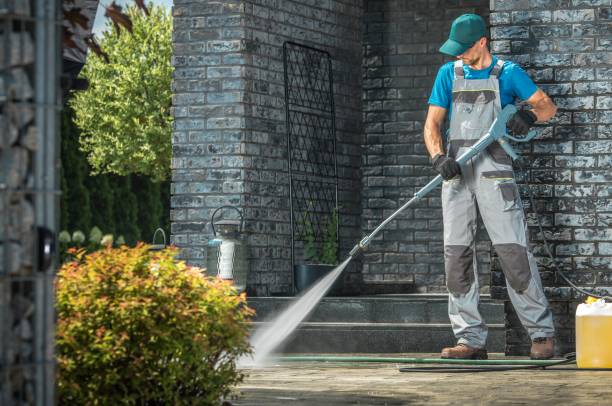 Best Animal Enclosure Cleaning  in Lone Tree, CO